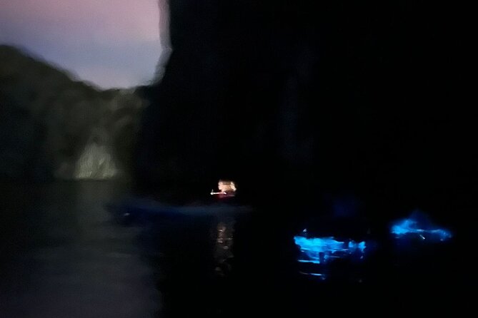 Bioluminescent Plankton Kayak Boat Tour - Should you book this bioluminescent plankton kayak tour from Cat Ba?