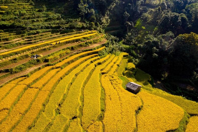 Cao Bang Loop Tour 3D2N by Motorbike, Car or Jeep - Day 2 route: Ma Phuc Pass, Phia Thap incense craft, and Angel Eye Mountain