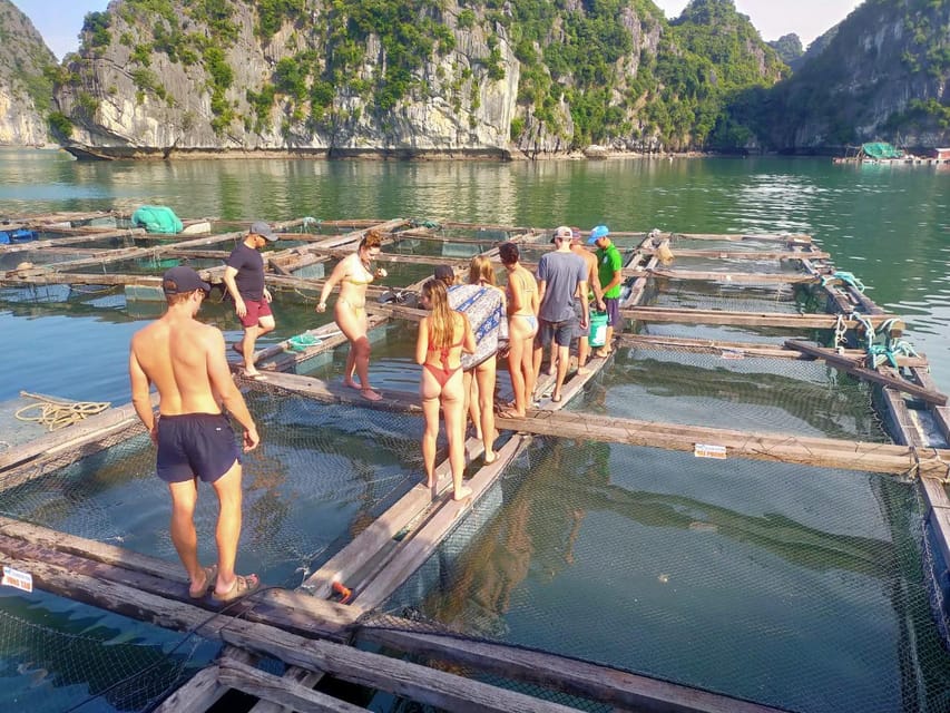 Cat Ba: 2-Day Lan Ha Bay Cruise with Plankton Excursion - Midday cruise: sandy beaches, islets, and a lagoon made for swimming