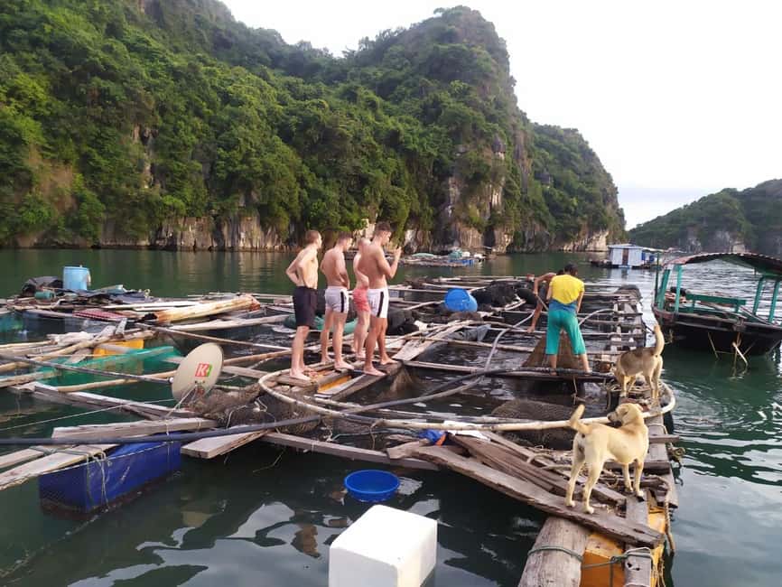 Cat Ba: 2-Day Lan Ha Bay Cruise with Plankton Excursion - Fish farm stop and sunset return: the bay at a slower volume