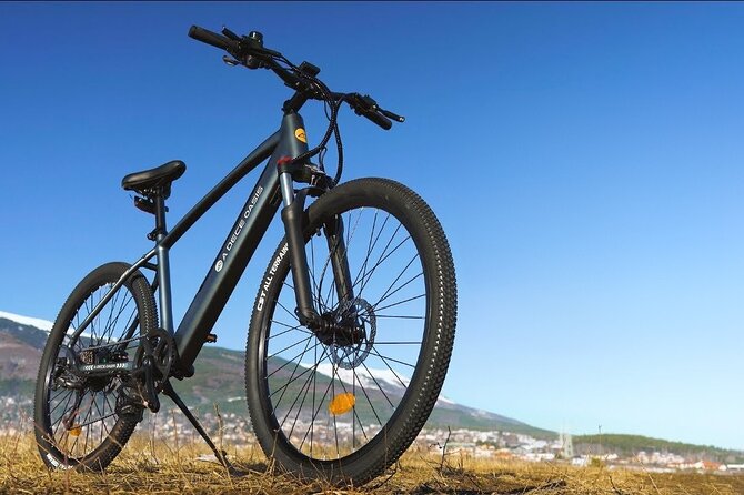 Cat Ba Bike Rental - Staff Guidance That Can Save You From Guessing