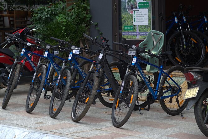 Cat Ba Bike Rental - Price and Value: $10 for a Bike Day That Includes the Hard Parts