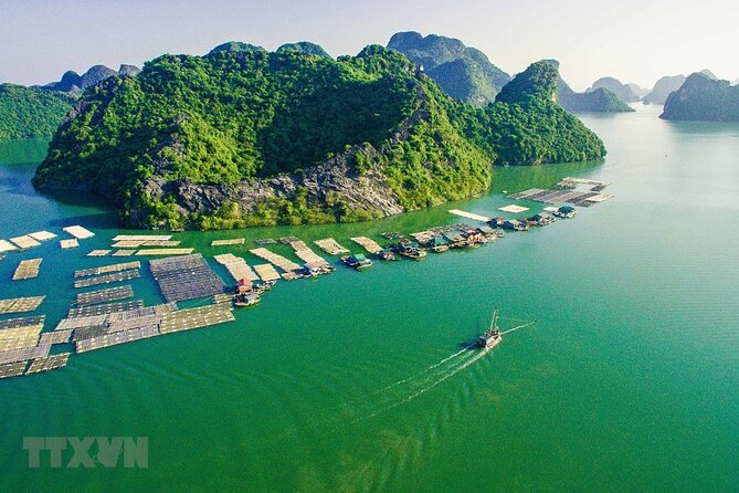 Cat Ba Cruise 2 Days 1 Night - Food on Board: Included Meals That Don’t Feel Like an Afterthought