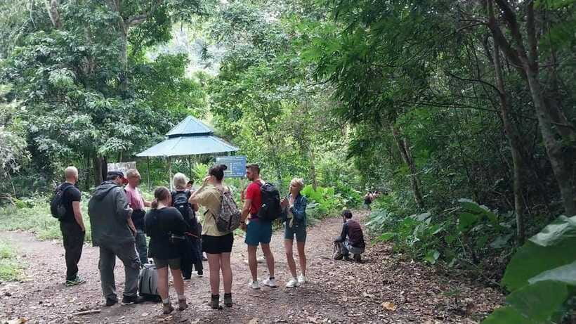 Cat Ba: National Park Day Trip with Cycling and Kayaking - Cycling to Viet Hai harbor: when the road is part of the fun