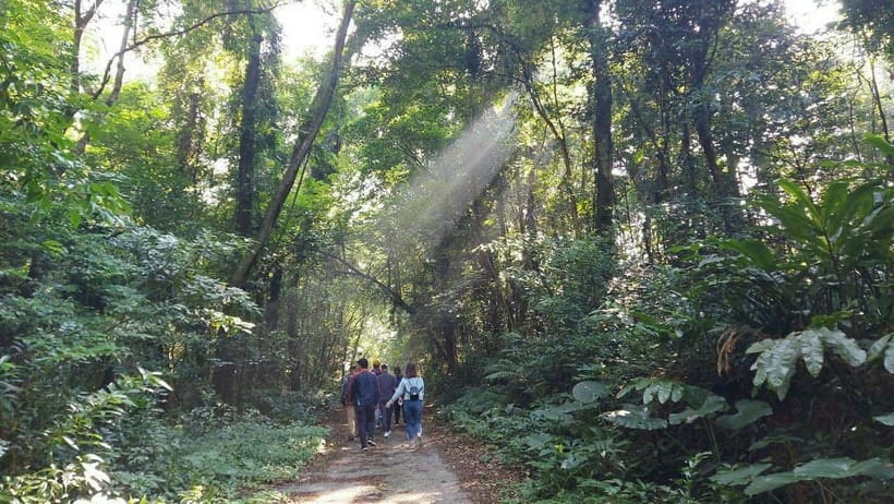 Cat Ba: National Park Day Trip with Cycling and Kayaking - What to bring (and what to skip)