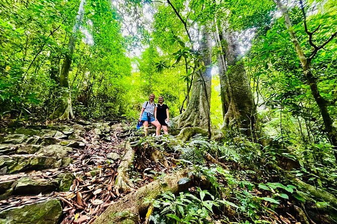 Cat Ba National Park Full Day Trekking Tour to Viet Hai Village - The Human Side: Guides, Food, and Small-Group Movement
