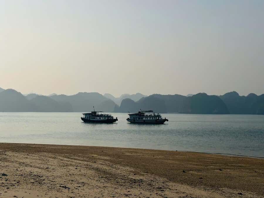 Cat Ba: Night Kayaking with Glowing Plankton - Key points to know before you go