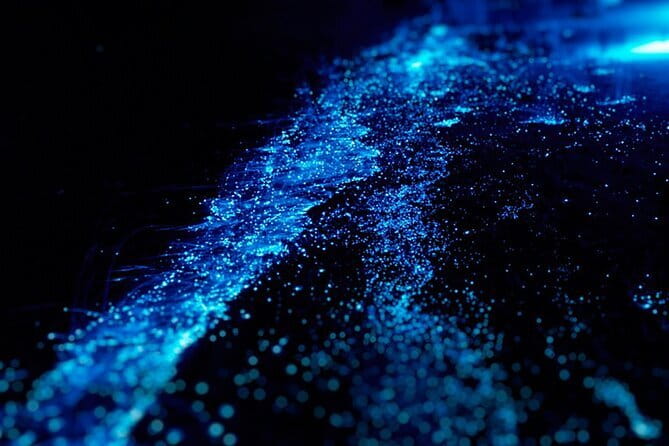Cat Ba: Sunset & Bioluminescent Kayaking on Lan Ha Bay - Why This Lan Ha Bay Night Feels Worth It