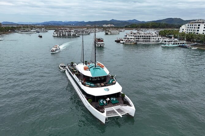 Catamaran Premium Cruise to Halong Bay & Lan Ha Bay in 1 Day Tour - Key highlights before you go