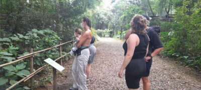 Cuc Phuong National Park Hiking Tour - Entering the visitor area: Vietnam’s first national park story