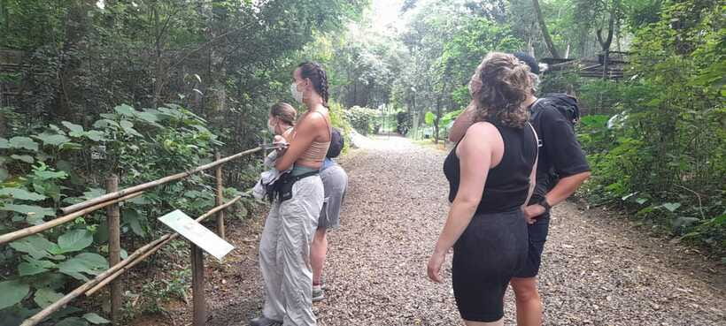 Cuc Phuong National Park Hiking Tour - Who this tour fits best (and who should think twice)