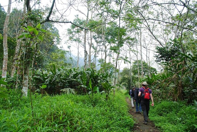 Cuc Phuong National Park Private Day Tour: Trekking & Primates - Endangered Primate Rescue Centre: Conservation You Can See