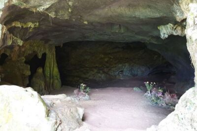 Cuc Phuong National Park Private Day Tour: Trekking & Primates - Cave of Prehistoric Man: Limestone, Graves, and Tools