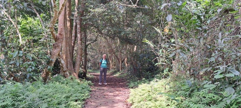 Cuc Phuong National Park - Van Long Day Trip From Hanoi - Cuc Phuong and Van Long: Two Nature Moods in One Day