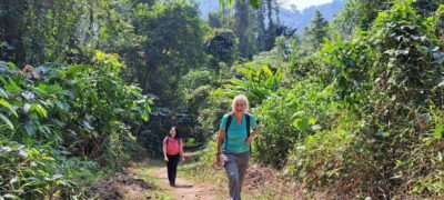 Cuc Phuong National Park - Van Long Day Trip From Hanoi - Hanoi Pickup and the Reality of a Long Day on the Road