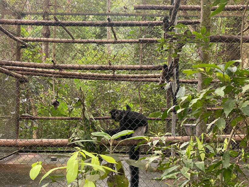 Cuc Phuong National Park - Van Long Day Trip From Hanoi - Van Long Wetland Reserve by Rowing Boat: Wildlife Time the Slow Way