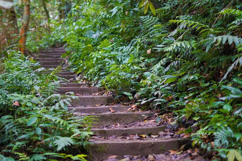 Cuc Phuong National Park - Van Long Day Trip From Hanoi - What You’re Paying for (and Whether It’s Value at $76)