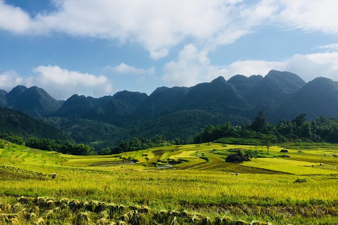 Daily Shuttle Bus Transfer Hanoi to Pu Luong or return - Arrival at Pu Luong Centre: where you can start immediately
