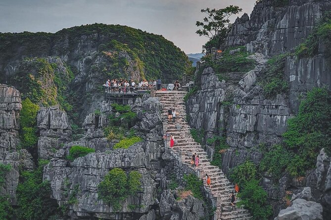 Day Trip from Hanoi to Ninh Binh Hoa Lu, Trang An, and Mua Cave - Mua Cave and the 500-Step Climb for Tam Coc Views
