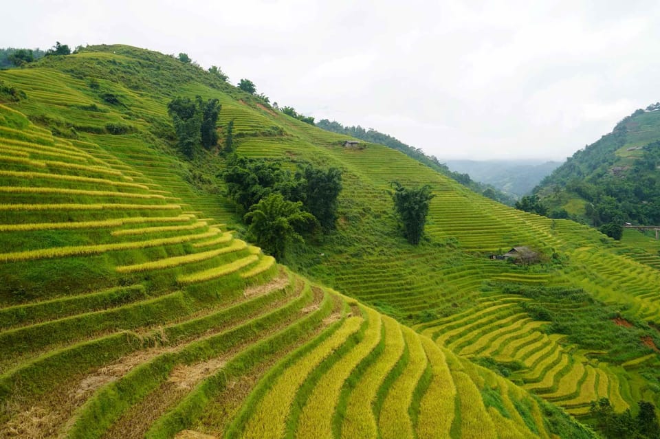 Day Trip to Cat Cat village - Fanxipang Peak/Lunch - The 600 Steps: What You’re Really Signing Up For