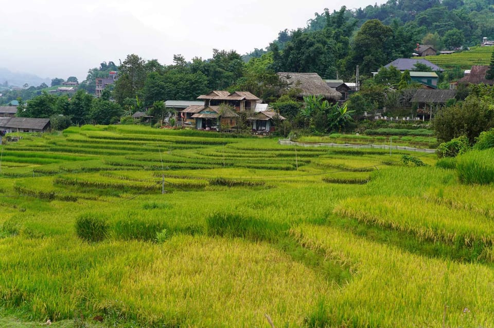 Day Trip to Cat Cat village - Fanxipang Peak/Lunch - Cat Cat Village in the Afternoon: Black H’Mong Life and Daily Work