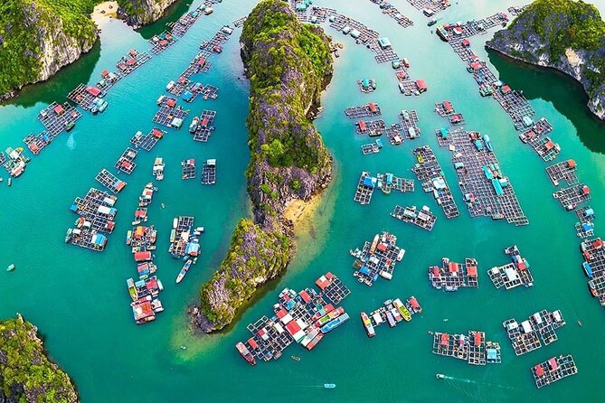 D'Charme Luxury Day Cruise Discover the MOST Stunning Lan Ha Bay - Price and Value: What $48.36 Covers (and What You’ll Still Need)