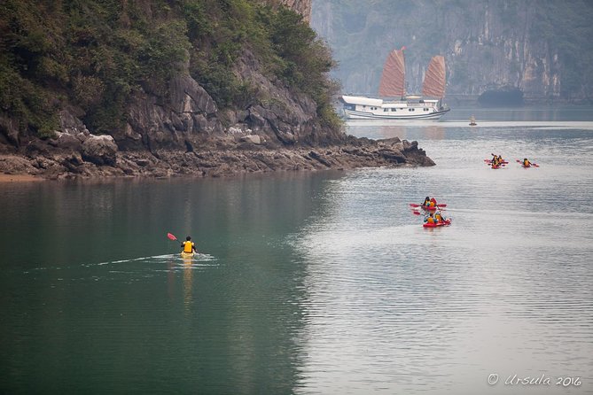 Deluxe Halong Bay 6 Hours Cruise To Visit Surprising Cave And Titop Island - Kayaking and bamboo boat: your chance to slow down