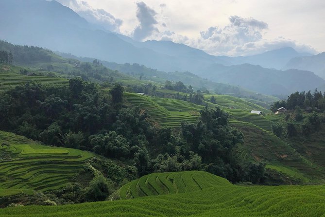 Discover the Beauty of Sa Pa: A One-Day Trek - Why This Sa Pa Trek Feels Like More Than a Walk