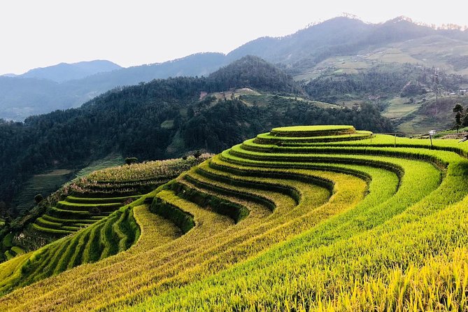 Discover the Beauty of Sa Pa: A One-Day Trek - Lao Chai (About 1 Hour): Family Farming, Valley Atmosphere, and Good Walking Energy