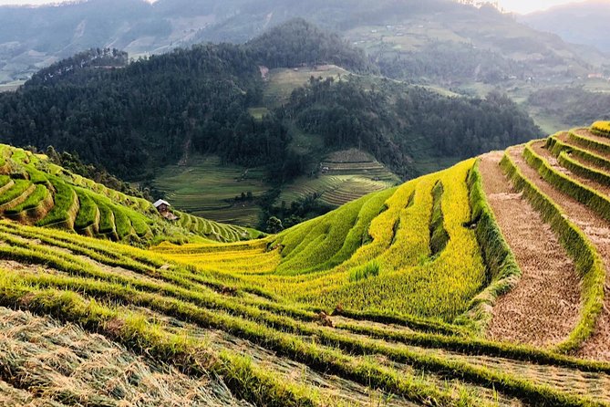 Discover the Beauty of Sa Pa: A One-Day Trek - Ta Van (About 30 Minutes): Friendly People and a Short Cultural Snapshot