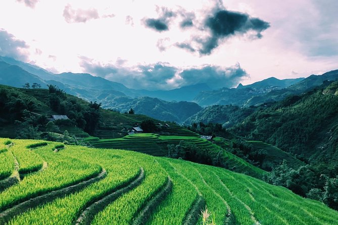 Discover the Beauty of Sa Pa: A One-Day Trek - Guides, Group Size, and the Difference Between a Good and a Great Day