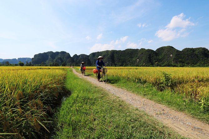 Discover Trang An Natural World Heritage, Bich Dong Pagoda, Cycling Day Tour - Quick logistics to plan around (without making it stressful)