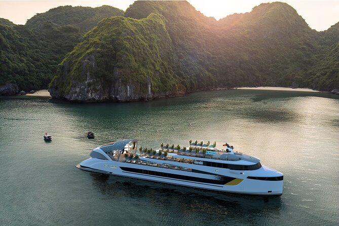Dolphin Cruise – Experience Halong Bay in Timeless Luxury - Key highlights worth your attention