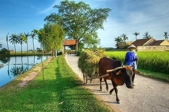 Duong Lam Ancient Village full day tour from Hanoi & experiencing local life - Key takeaways before you go