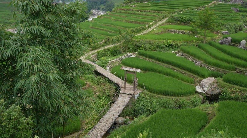 Easy Trek in Sapa mountain : Y Linh Ho - Lao Chai - Ta Van - Bamboo to rice terraces: the Hoàng Liên Sơn view payoff