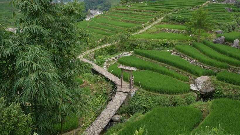 Easy Trek in Sapa mountain : Y Linh Ho - Lao Chai - Ta Van - The guide’s job: explain differences, keep it respectful, keep you moving
