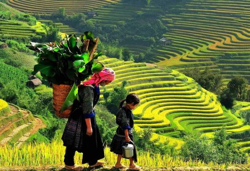 Easy Trek in Sapa mountain : Y Linh Ho - Lao Chai - Ta Van - Pace and fitness: what “easy trek” means in real life