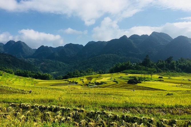 Explore Mai Chau - Pu Luong - Ninh Binh 4 Days / 3 Nights - Key things I’d prioritize before you book