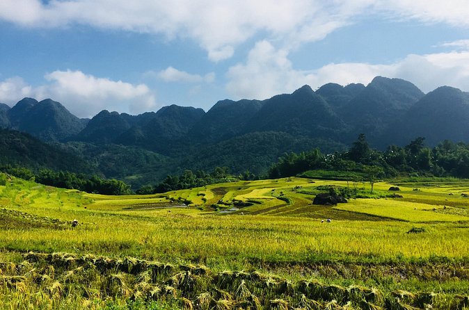 Explore Mai Chau - Pu Luong - Ninh Binh 4 Days / 3 Nights - Who this tour is best for (and who should reconsider)
