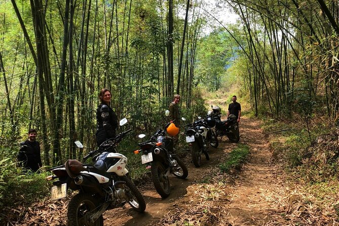 Explore Rice Terrace Pu Luong Ninh Binh Ha Long 4 Days 3 Night - Hanoi to Pu Luong: rice terraces, Thai village life, and real countryside time