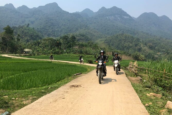 Explore Rice Terrace Pu Luong Ninh Binh Ha Long 4 Days 3 Night - Ninh Binh by morning: Hoa Lu history, then boats at Tam Coc