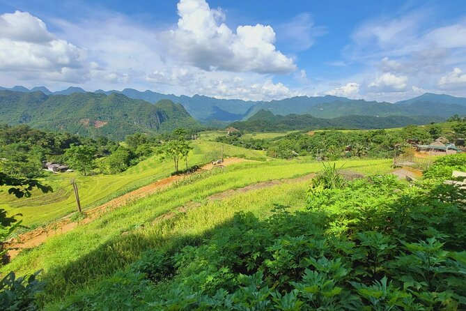 Explore Rice Terrace Pu Luong Ninh Binh Ha Long 4 Days 3 Night - Price and value: what $490 buys you across three regions