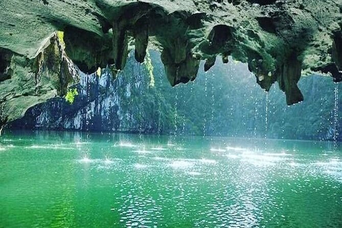 Exploring Halong Bay with 2-Day Cruise - Day 2 at dawn: Tai Chi, early coffee, and calm before the cave