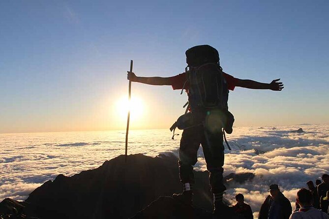 Fansipan Mount Trekking 1 Day - The schedule, hour by hour: what the day really feels like