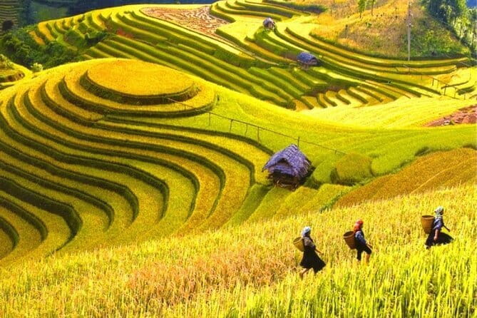 Fansipan Mountain, Cat Cat Village, Rice Terrace 2 Day Sapa Tour - Cooking class dinner and included meals: why it’s good value