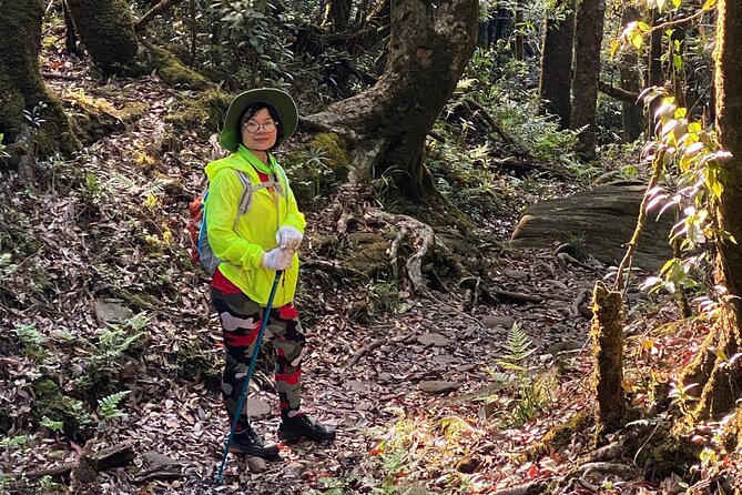 Fansipan Summit Challenge - Coming back down through forests and alpine meadows