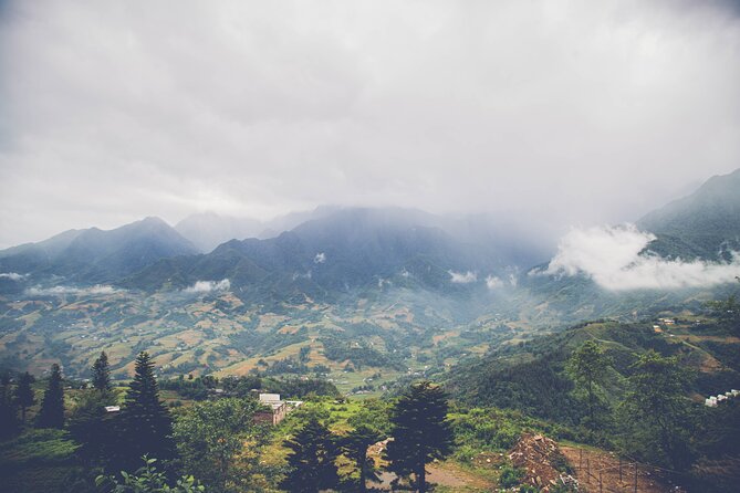 Fansipan Summit Challenge - The trek begins: rainforest trails, bamboo groves, and alpine meadows