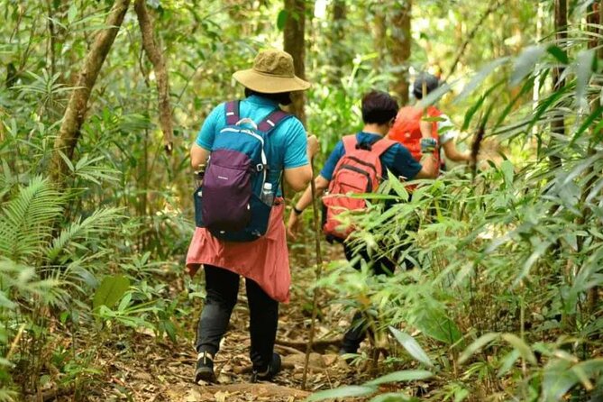 Fansipan Trek One Day Tour – Roof of Indochina - Pace, timing, and fitness: who this is truly for