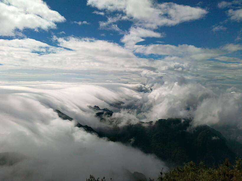 Fansipan Trekking - 1 Day - Why This One-Day Fansipan Trek Makes Sense (and Who It Fits)