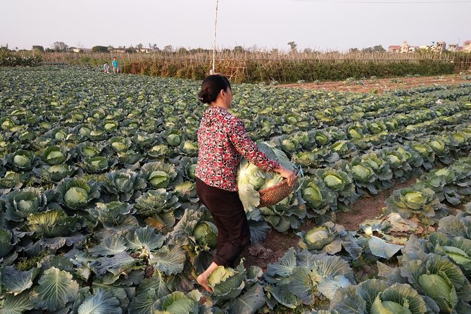Farm tour & Home cooking class with local family in Hanoi - From a 400-Year Communal House to a Market Feeding Hanoi